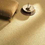 Imported Loop Pile Carpets